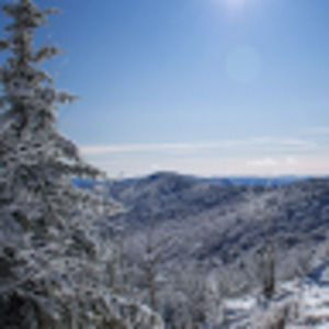 Meet your Posher, Ella